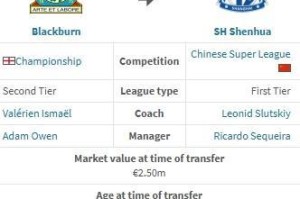 半岛体育APP-德转：布莱克本前锋盖伊加盟上海申花的转会费为115万欧